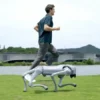 Descubre el Robot Cuadrúpedo Unitree GO2: Innovación y Versatilidad