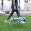 Descubre el Robot Cuadrúpedo Unitree GO2: Innovación y Versatilidad