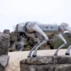 Descubre el Robot Cuadrúpedo Unitree GO2: Innovación y Versatilidad
